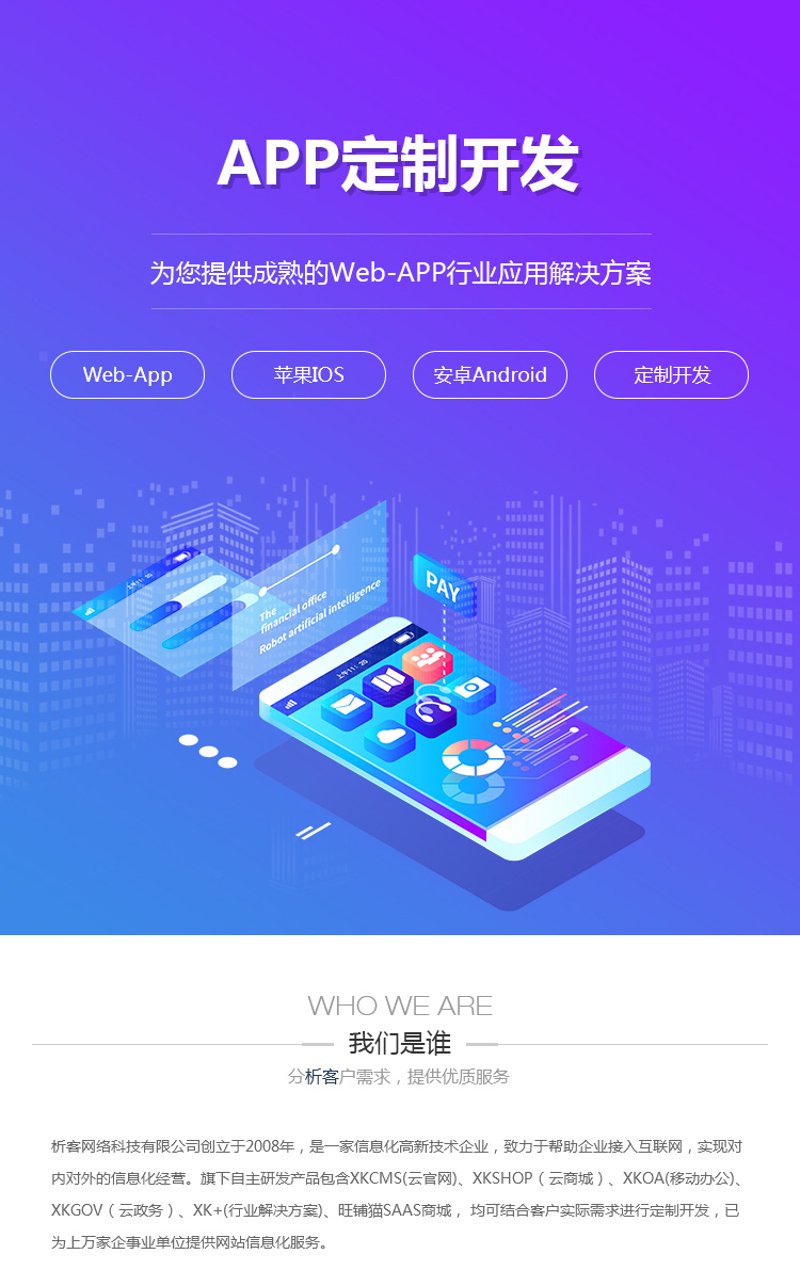 企业官网定制：为何选择专业公司而非自行搭建